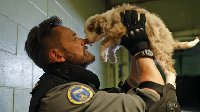 Animal Control